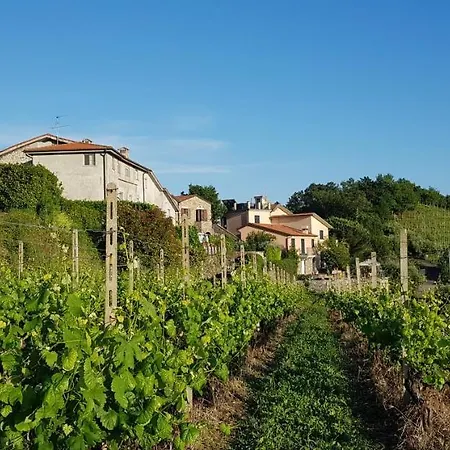 Casale In Vigna, Cinqueterrecoast Holiday home